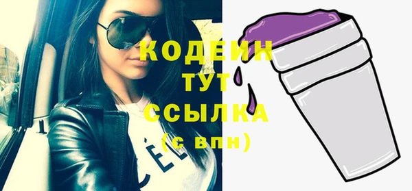 прущий лед Горняк