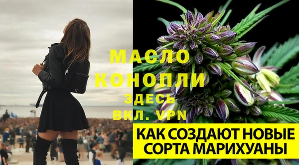 ГАЛЛЮЦИНОГЕННЫЕ ГРИБЫ Горнозаводск