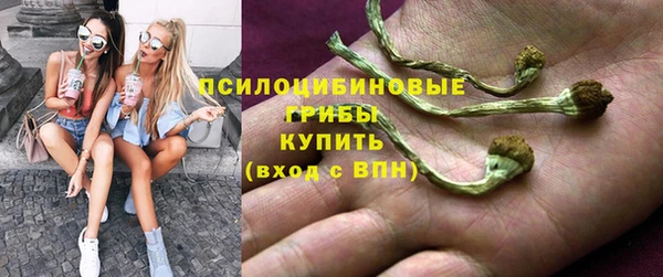 прущий лед Горняк