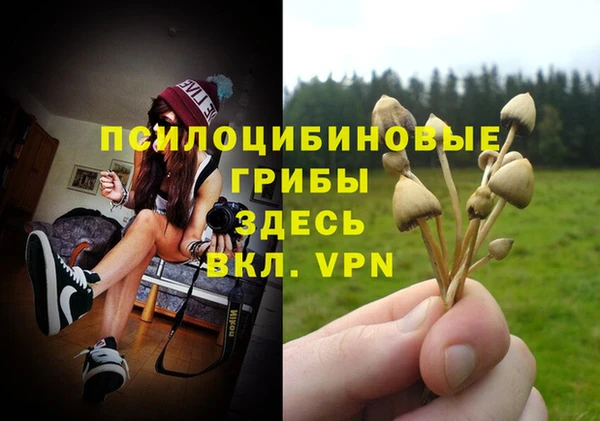 ПСИЛОЦИБИНОВЫЕ ГРИБЫ Снежинск