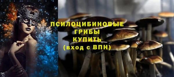 ГАЛЛЮЦИНОГЕННЫЕ ГРИБЫ Горнозаводск
