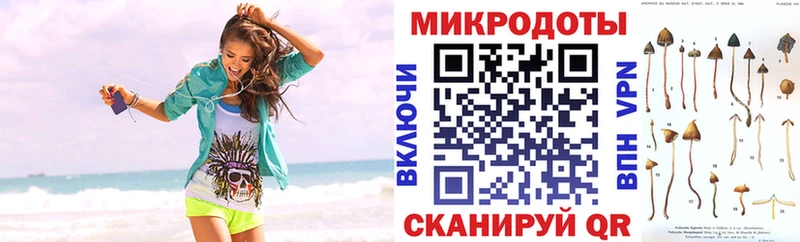 Галлюциногенные грибы Psilocybe  Дорогобуж 