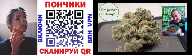 закладка  Дорогобуж  Конопля гибрид 